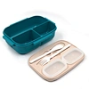 lunch box hard plastic